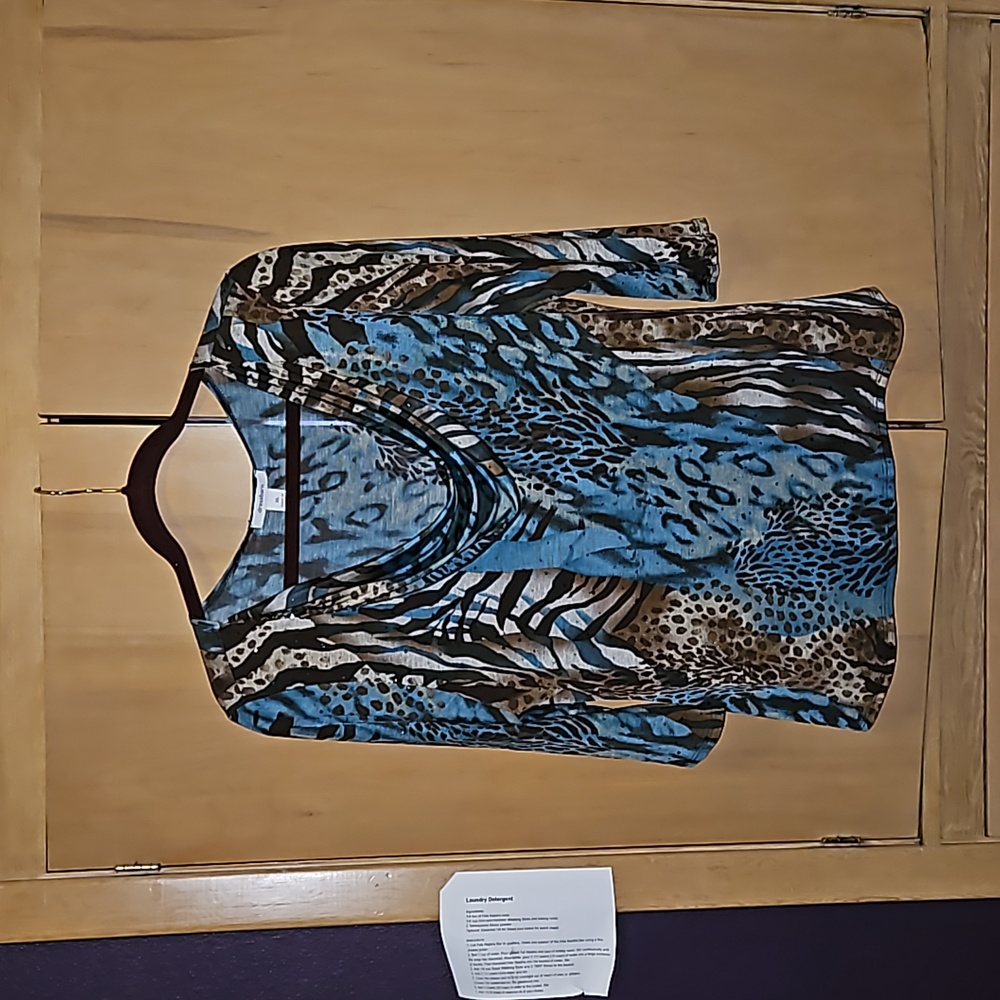 Dressbarn blouse